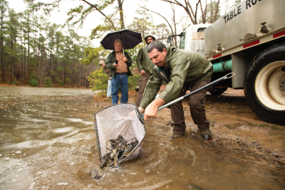 State hustles to fill trout - stocking gaps following Helene