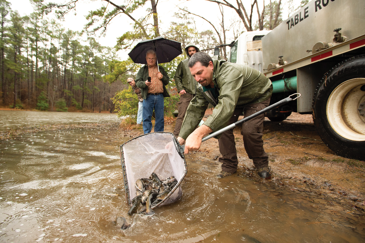 The North Carolina Wildlife Resources Commission stocks local streams, drawing anglers the region and generating over $1 billion in annual revenue regionally. 