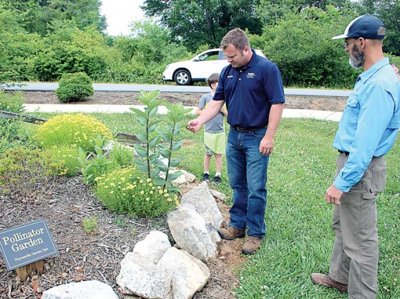 Jonathan Yates (left) and Bill Litty of the Town of Waynesville overlook the new Pollinator Garden at the entrance to the Waynesville Recreation Center. Donated photo