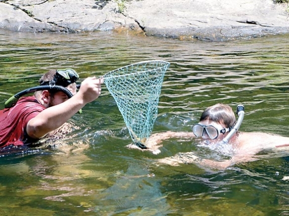 Under the Pigeon: Snorkeling workshop gives an up-close look at aquatic diversity