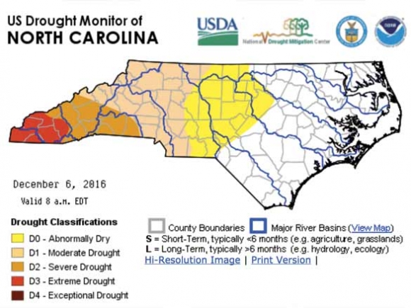 Drought diminishes due to rain