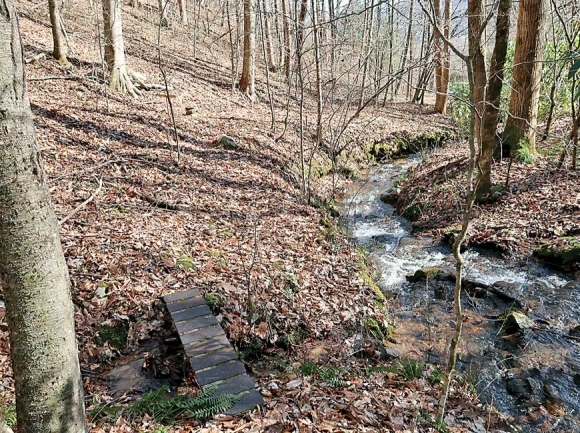 The land George Rector and Joan Byrd donated for conservation will help water quality flowing into the Tuckaseigee River. Donated photo