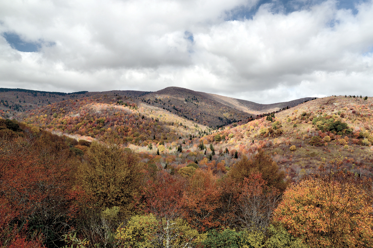 Construction on Graveyard Fields connector trail begins