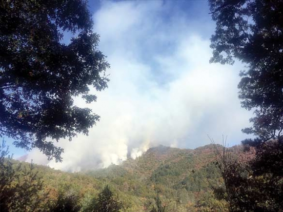 Forest fire spreads to 374 acres in Jackson County