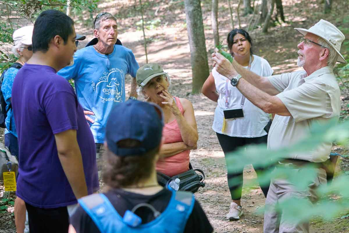 N.C. Arboretum volunteer Tim Southard explains the difference between white and red oak leaves to his group of hikers. David Huff Creative photo
