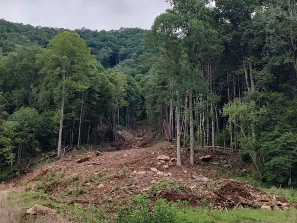 The Cruso landslide. (Garret K. Woodward photo)