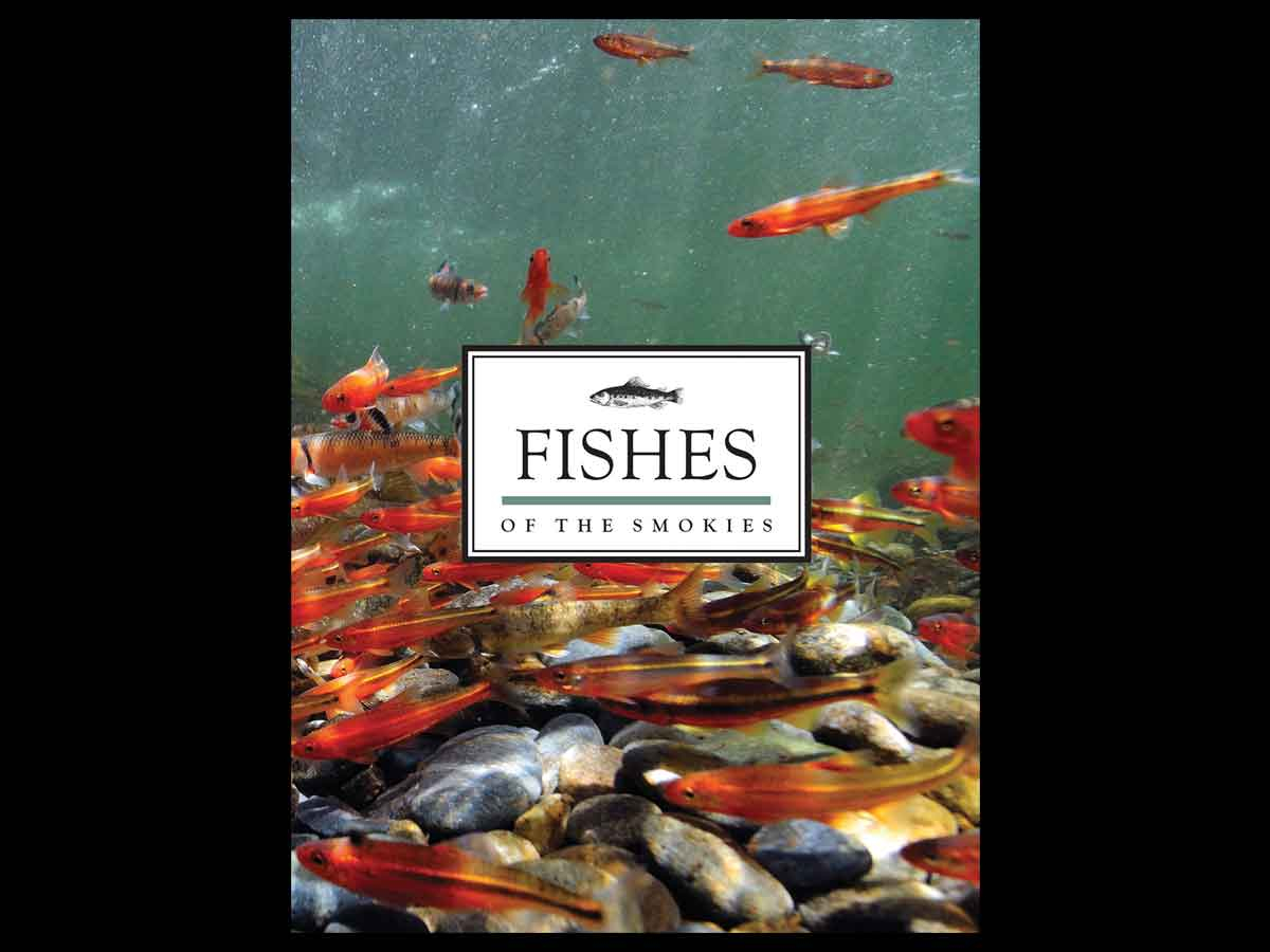 Fishy field guide hits bookstores