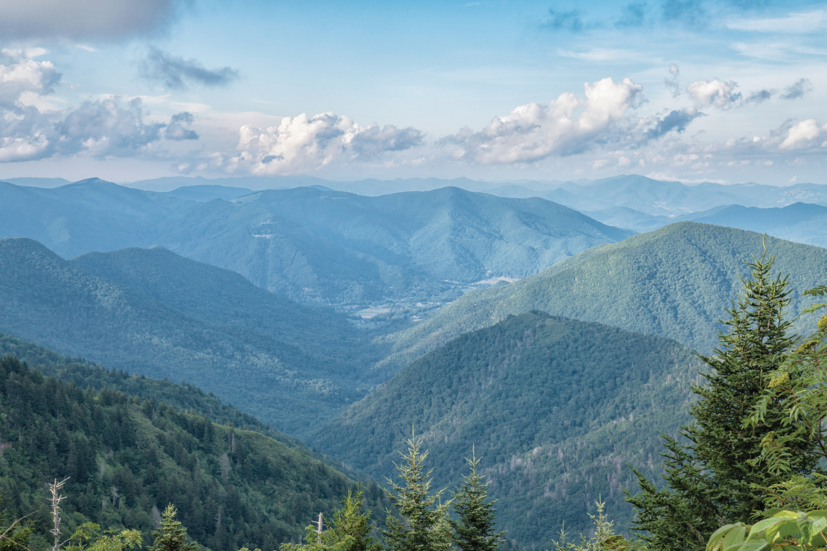 The Campbell Creek and Jonathan Creek watersheds tumble down from the rugged slopes surrounding the Blue Ridge Parkway. Steve Orr photo