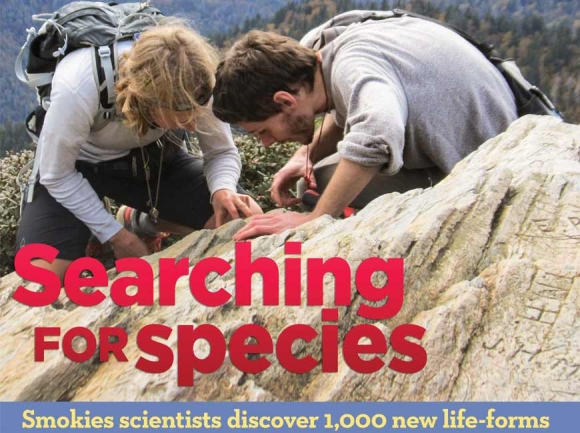 Inventory of life: Twenty-year effort to count Smokies species adds 1,000 to science