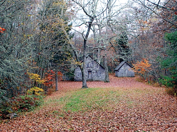 Wilson Lick Cabin. File photo