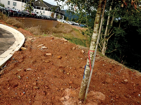 Even after students moved in last August, bare earth still abounded at Zimmer’s development The Husk at Western Carolina University. Holly Kays photo