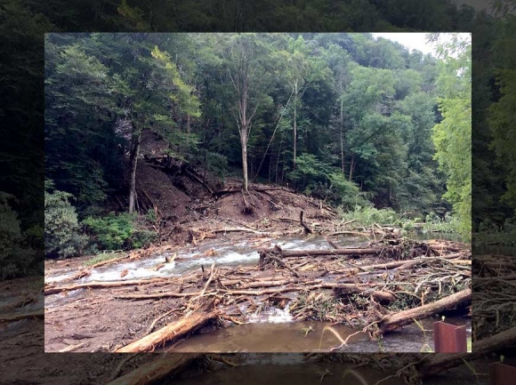 Woody debris creates dangerous blockages on the Nantahala River in this Aug. 26 photo. Donated photo