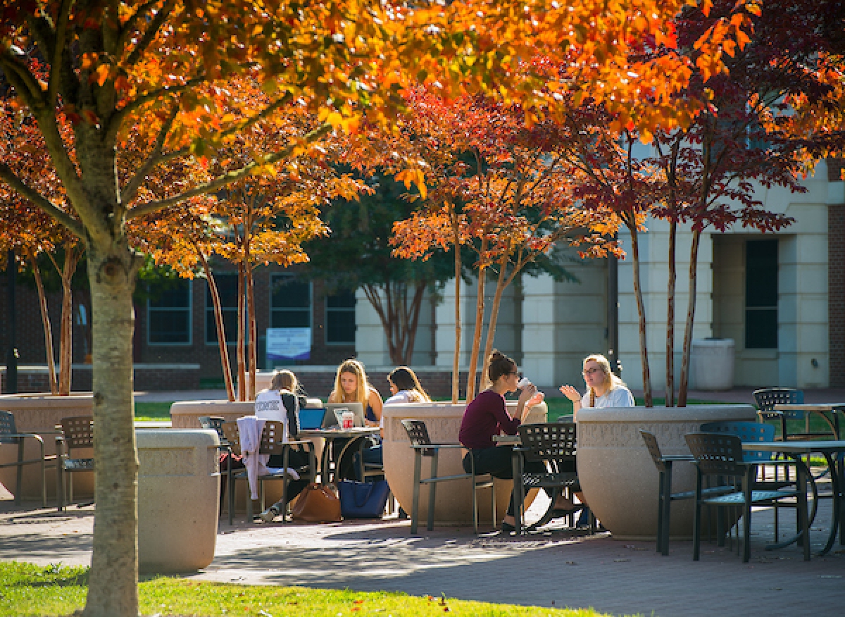 Western Carolina University students gather beneath autumn leaves. WCU photo