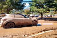 This must be the place: 'See the lines in the levee, muddy water pushing through'