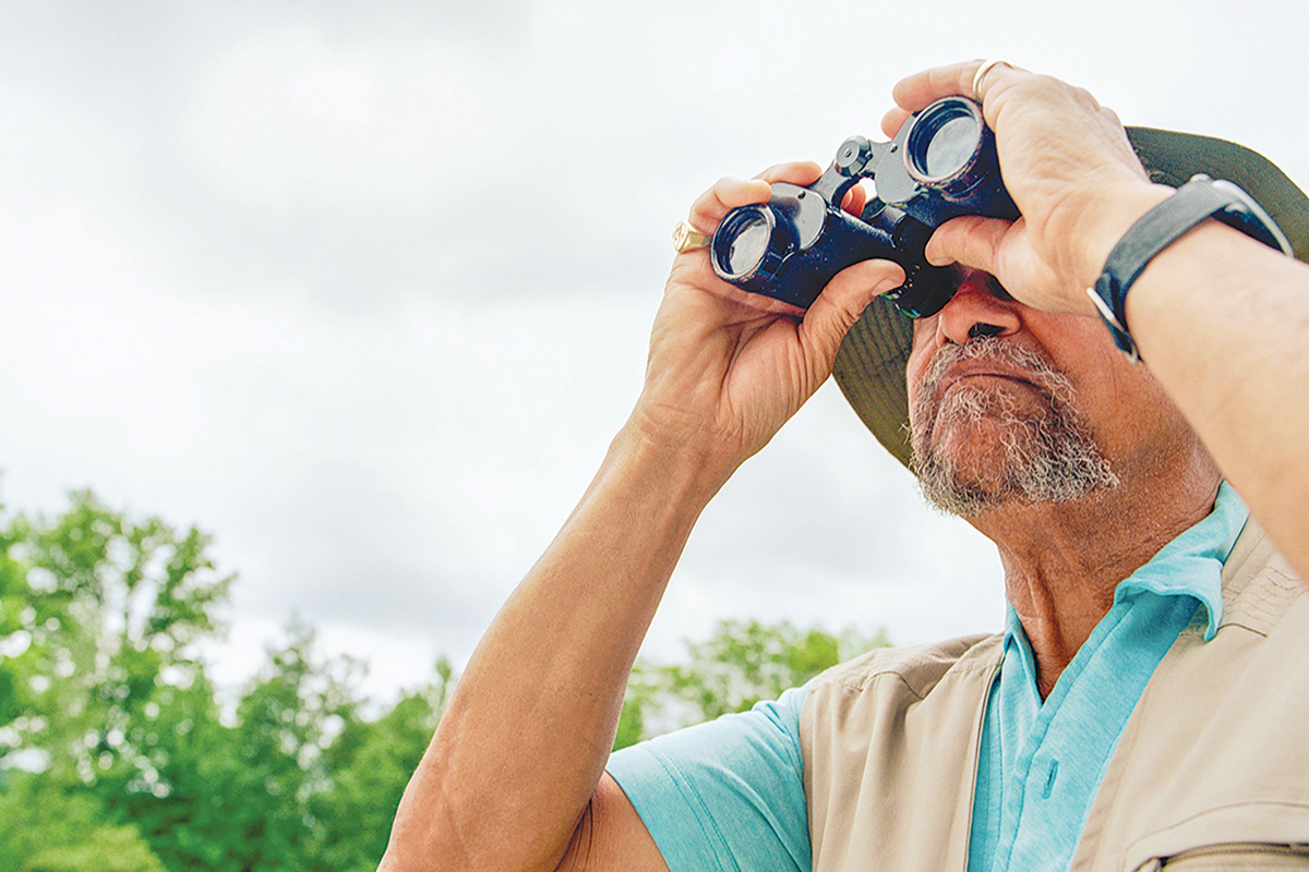 Franklin Bird Club to lead nature walks