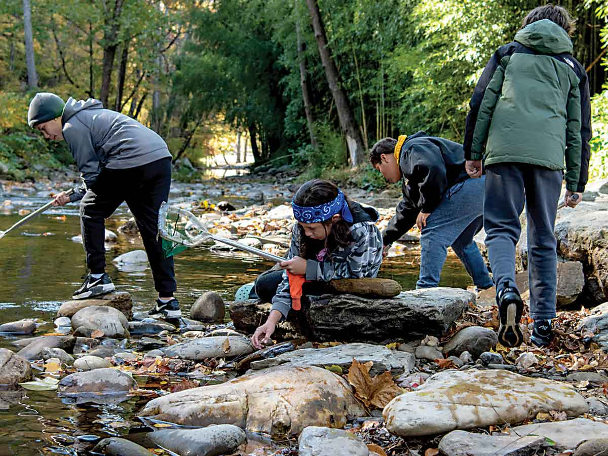 Students search for aquatic life in the Oconaluftee River.   Scott Campbell/Casablanca Digital Media photo