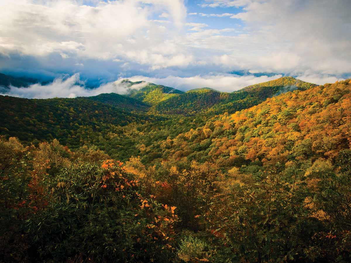 Smokies, Parkway, top NPS visitation list for 2021