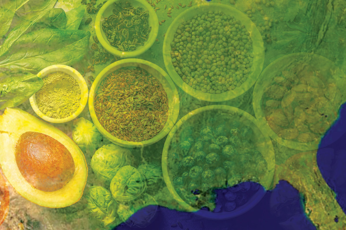Partner content: What Does “Local” Food Mean?