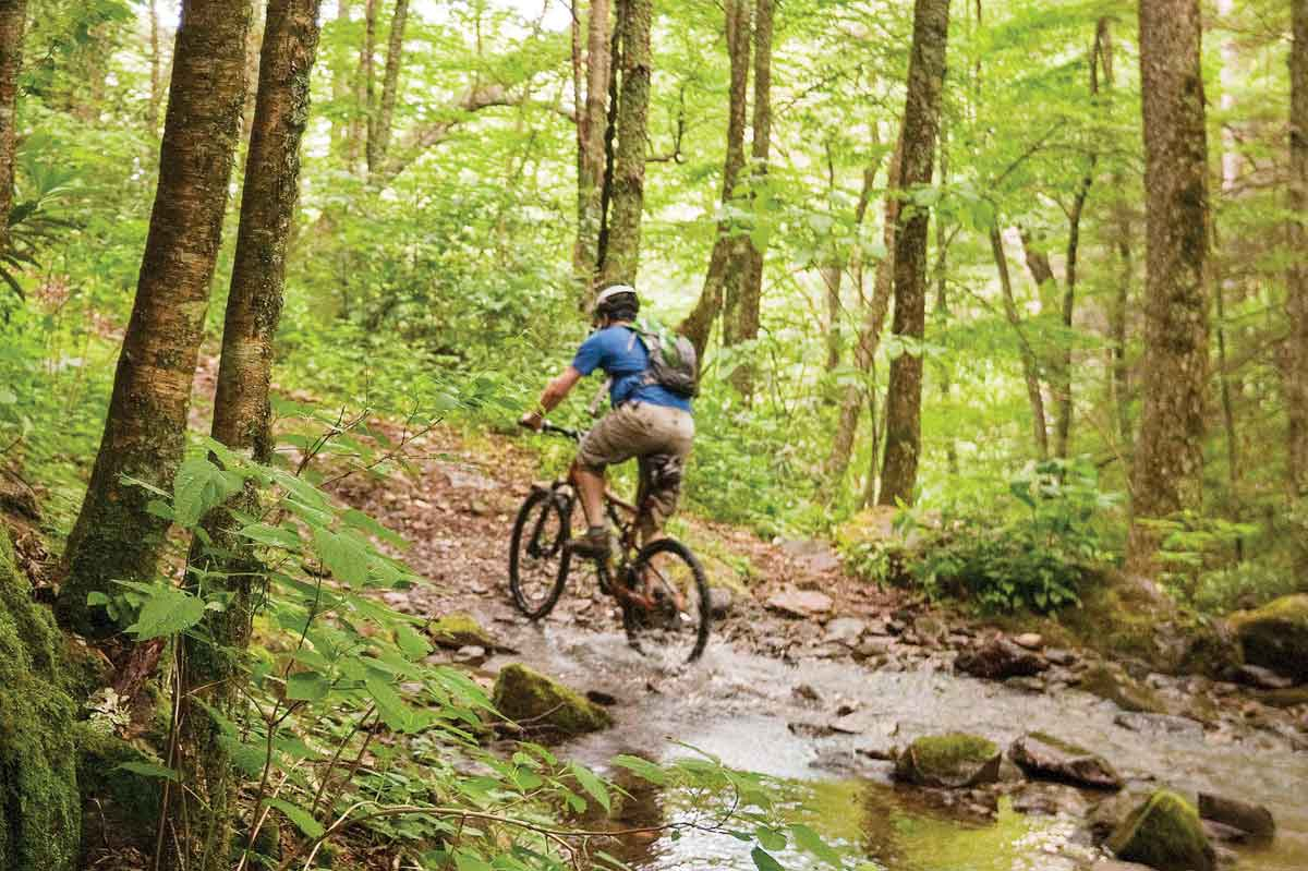 A biker pedals the Staire Creek Trail. Steven McBride photo’