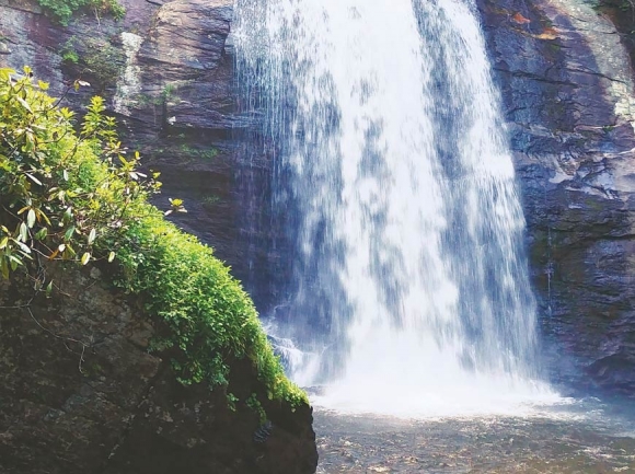 Looking Glass Falls. Garret K. Woodward photo