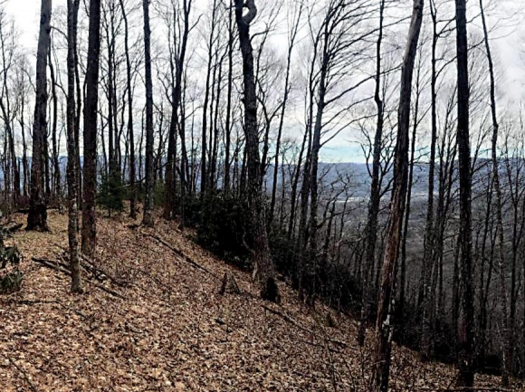 The Unicoi Mountains rise in the distance as seen from the Rim Trail on the newly acquired Fires Creek tract. Mainspring Conservation Trust photo