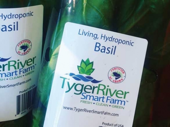 Sponsored: Welcome to Ingles, Tyger River Smart Farms