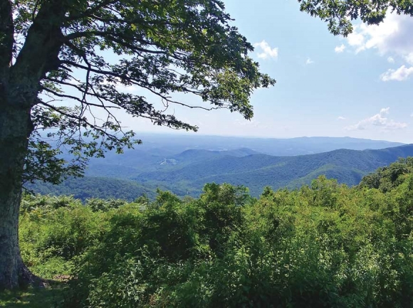 Blue Ridge Parkway, Virginia.