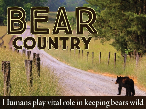 Living in bearadise: Encounters highlight need for human responsibility in bear country