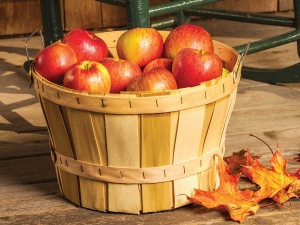 Sponsored: What to do with ... APPLES