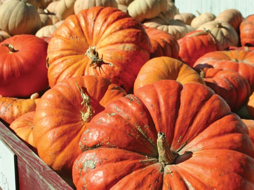 Sponsored: Uses for canned pumpkin