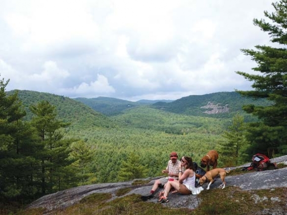 Hiking trails of the North Carolina Smokies