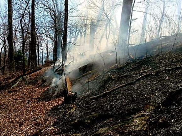 Spring fire season arrives: Steady rain keeps wildfire to normal levels as region recovers from historic fall blazes