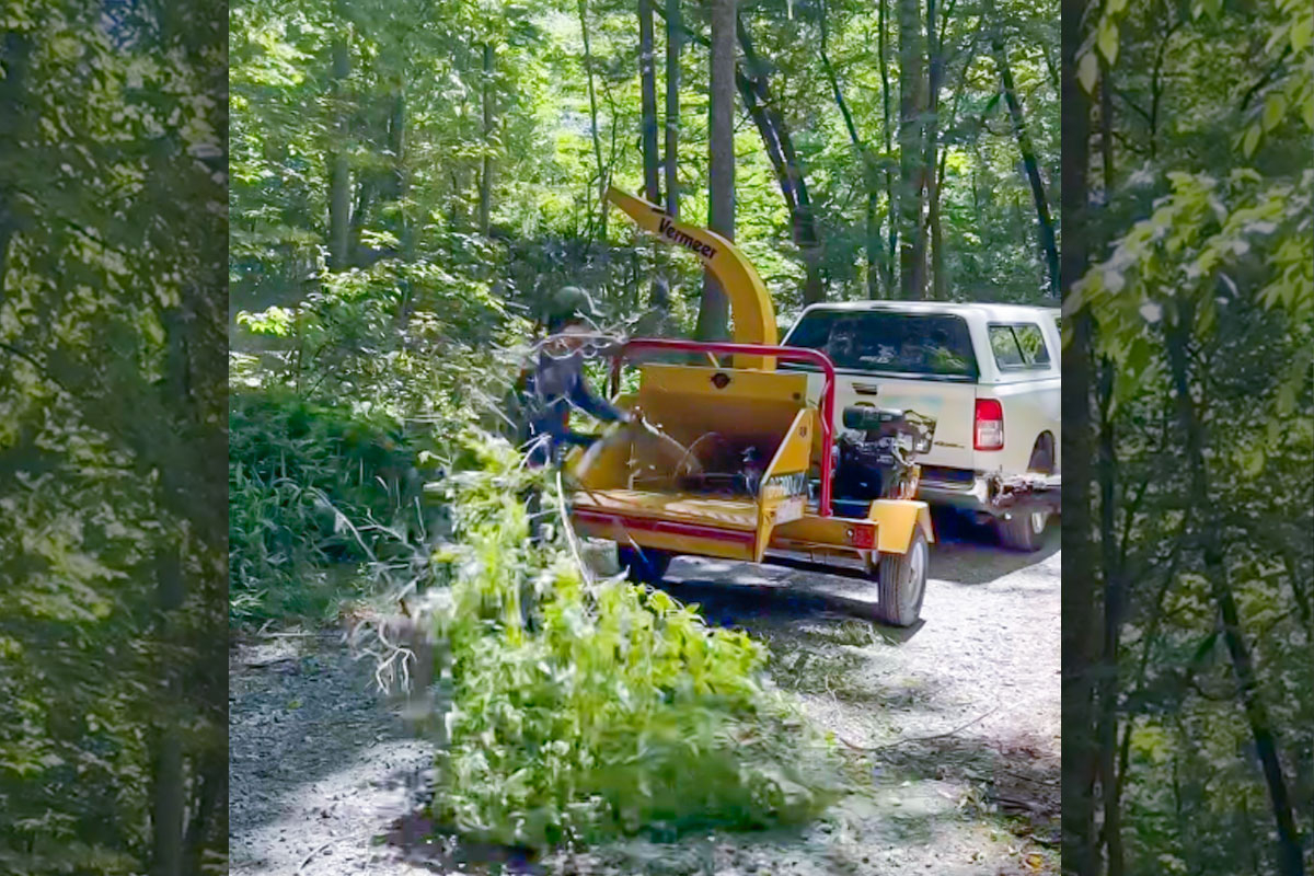 Invasive plant crew celebrates milestone