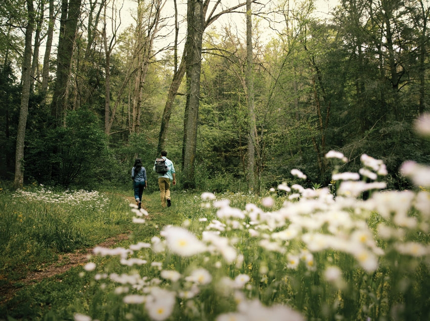 Sponsored: Discover Biltmore, your year-round oasis from the cares of the world