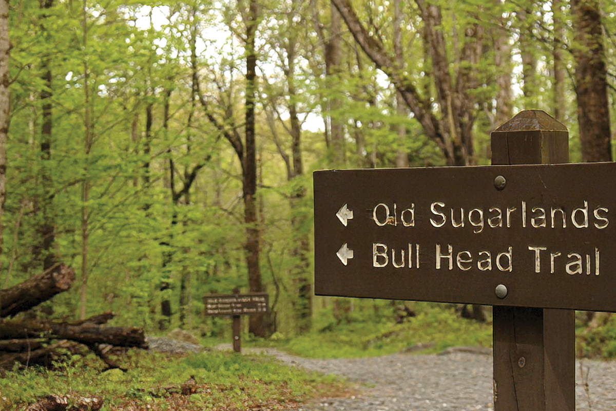 Rehab of Bullhead Trail to LeConte continues