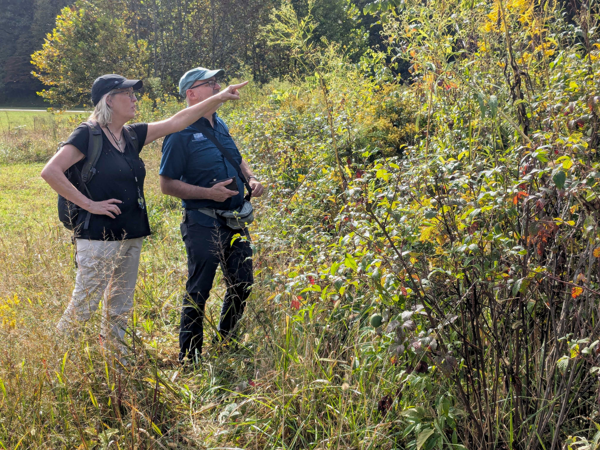 Leslie (left) and Jim Costa search for insects in a patch of plants growing near Oconaluftee Visitor Center.