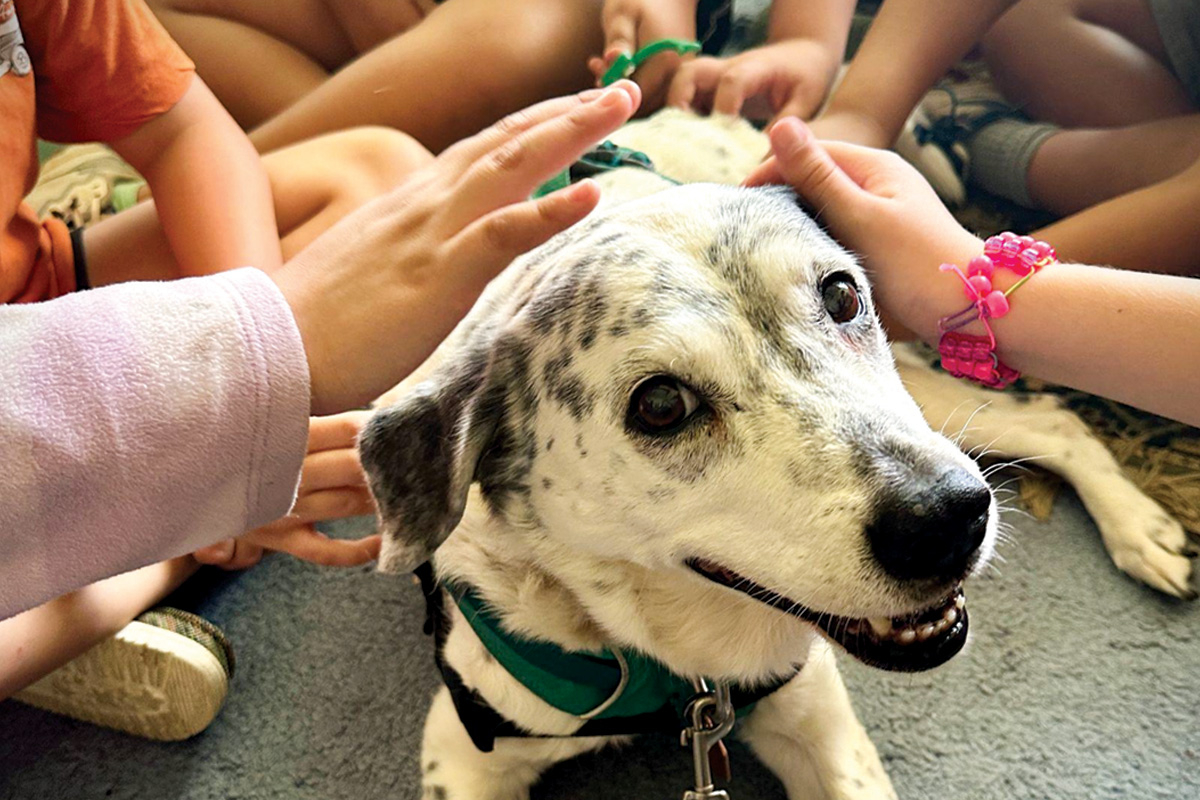 Picture by Lynn Carlson with therapy dog Julip. 