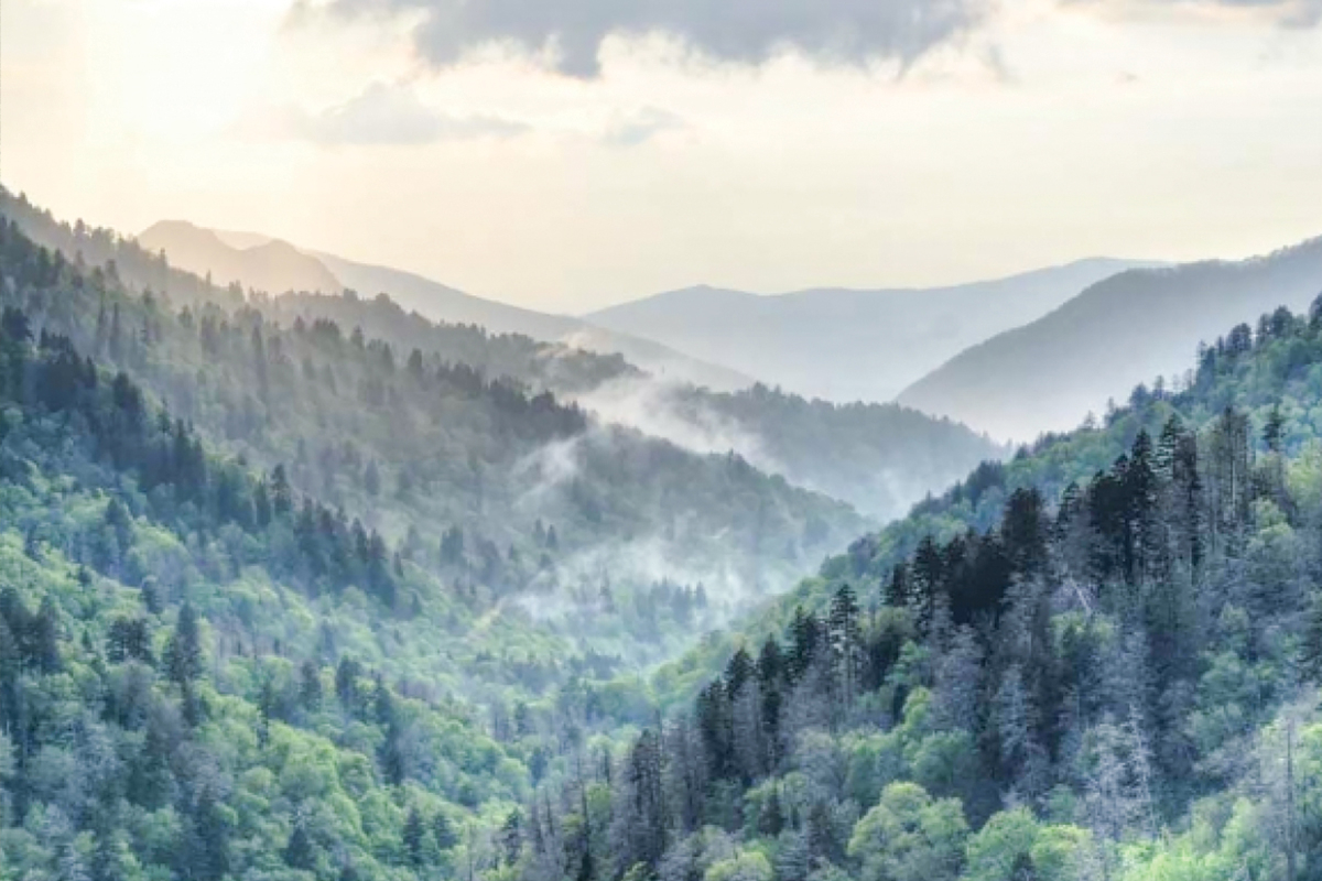 Great Smoky Mountains National Park.  
