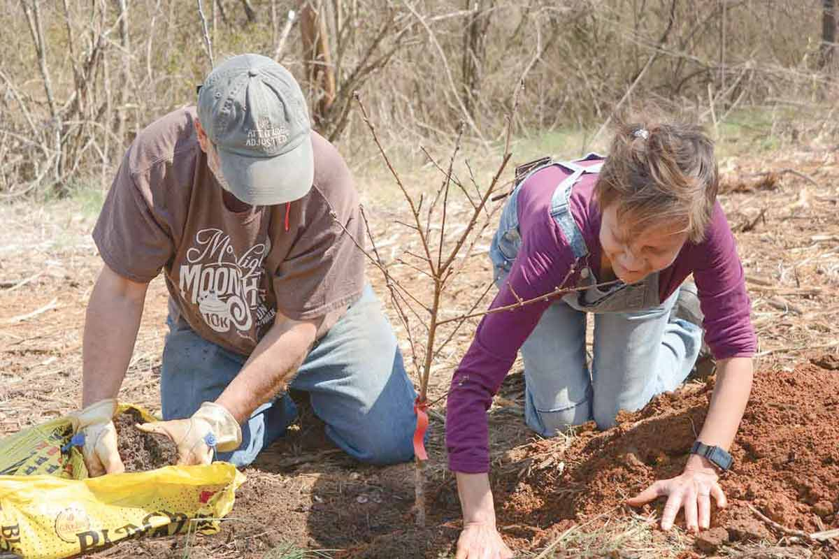 Juanita Wilson (right) and Bob McCollum, co-chairs of the Nikwasi Initiative, plant a tree along the Barbara McRae Cherokee Heritage Apple Trail. Holly Kays photo