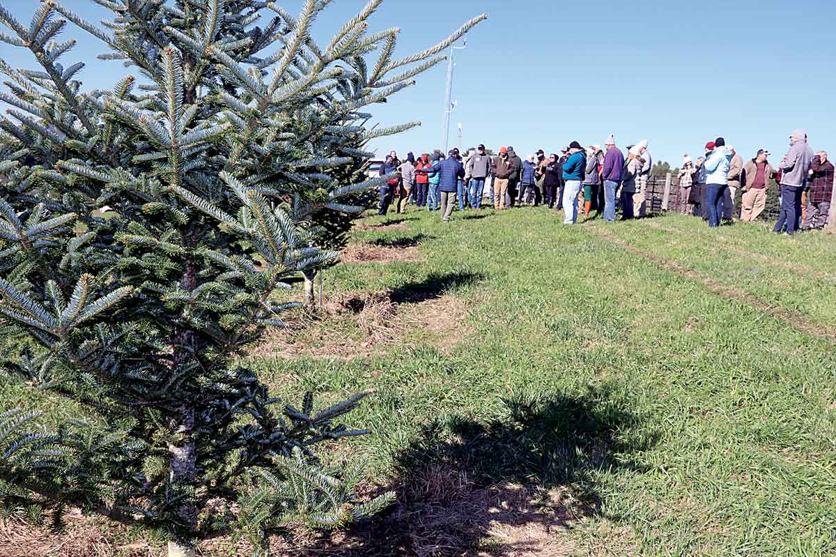 Groundbreaking attendees gather at the Fraser fir seed orchard before the nearby groundbreaking on Nov. 18. NCDACS photo