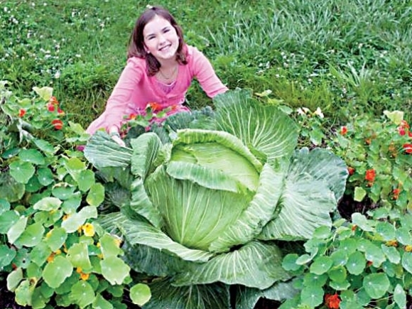 Cabbage patch kid