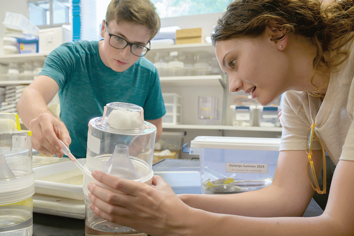Evan Joseph and Madeline Craig conduct research within Western Carolina University’s Mosquito and Vector-Borne Infectious Disease Facility. WCU photo