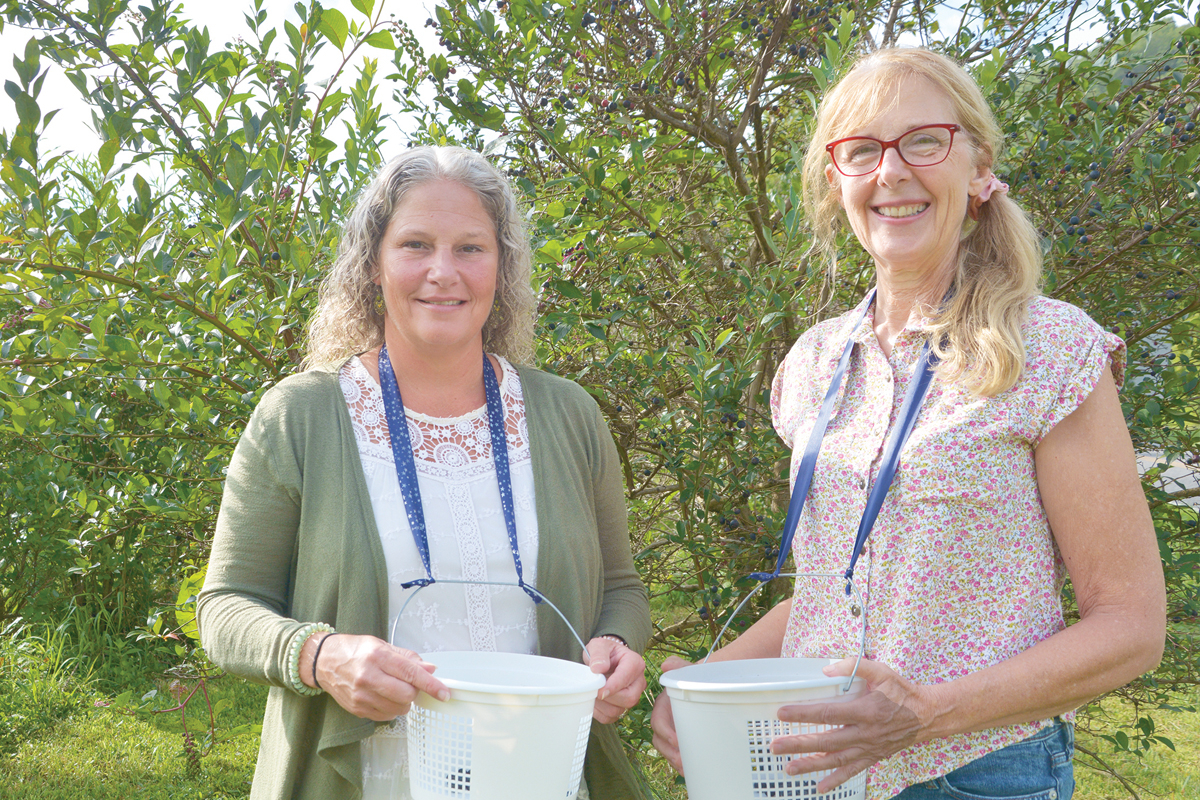 Marne Harris (left), director of Southwestern Community College’s Small Business Center, picks blueberries with former Appalachian Farm School student Cindy Anthony,  who owns the Thomas Berry Farm in Cullowhee. SCC photo 