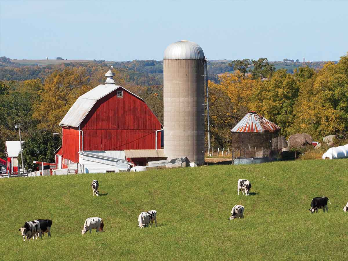 Sponsored: What does “Pasture-raised” mean?