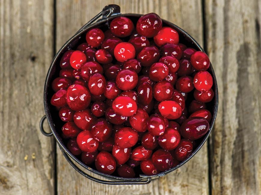 Sponsored: What to do with a can of cranberry sauce
