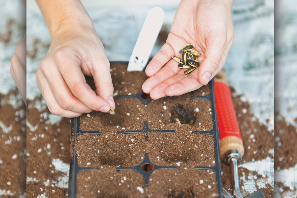 Haywood hosts ‘Learn to Grow’ classes