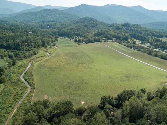 The newly acquired land is currently used as pasture for beef cattle. Donated photo