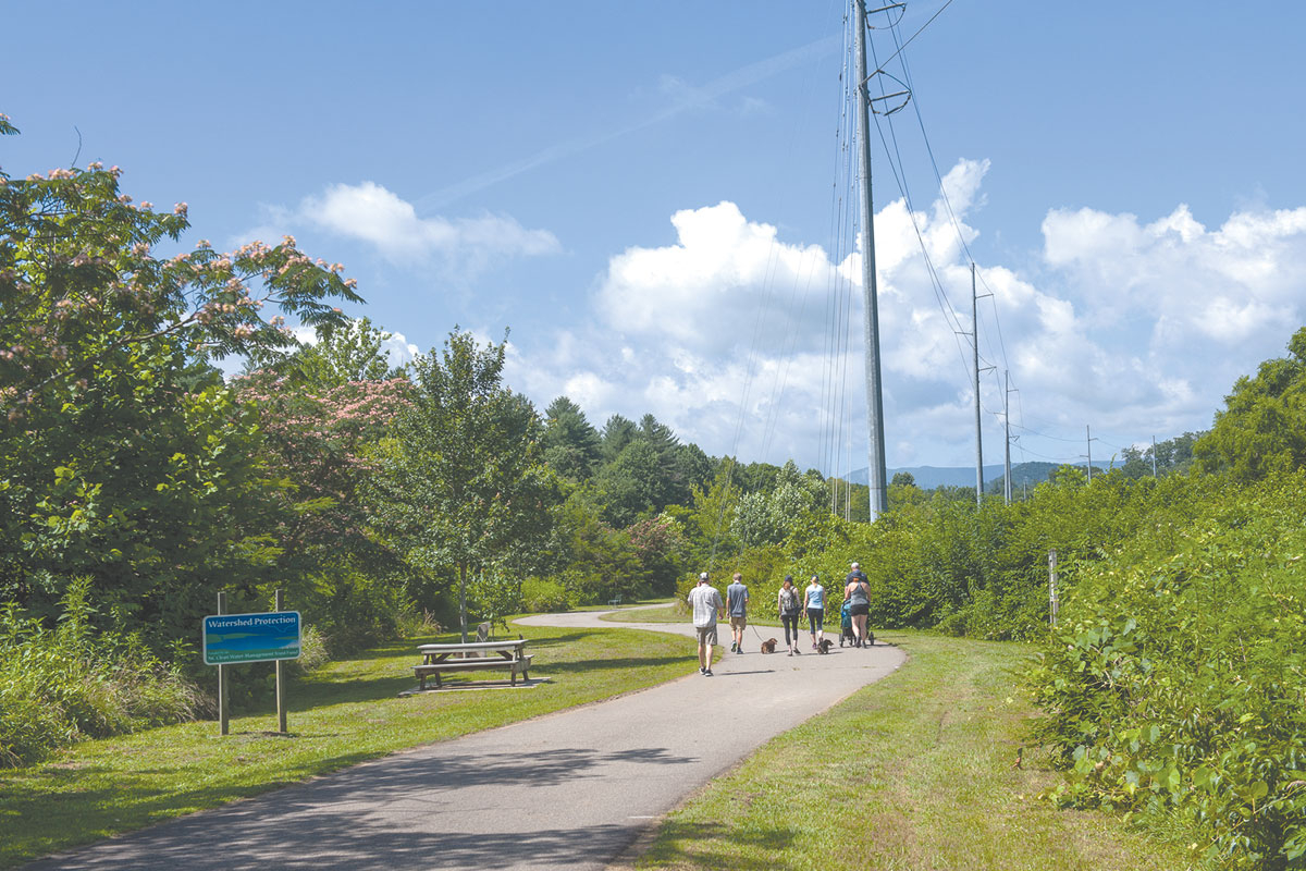 Join Franklin Bird club for Macon County walks