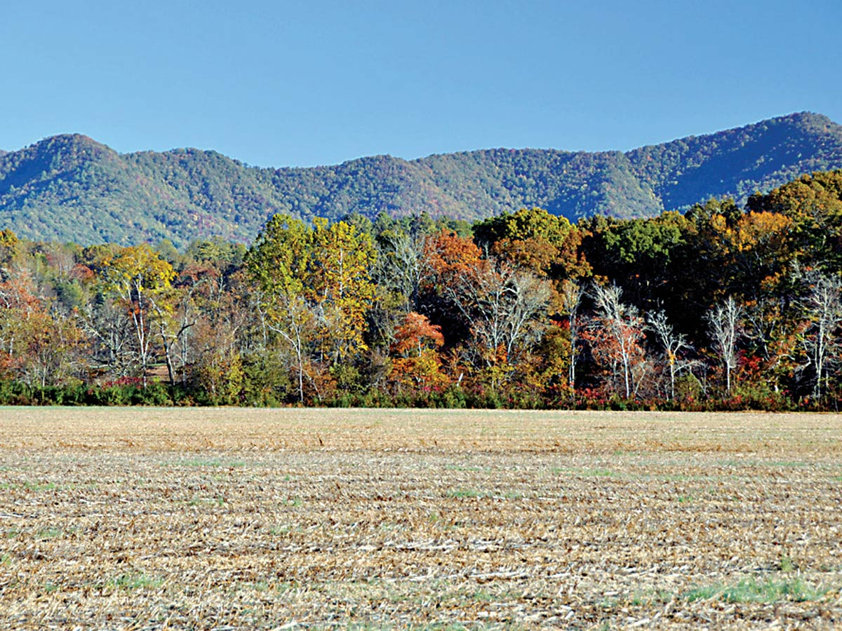 Mainspring has conserved more than 29,000 acres in the Southern Blue Ridge. Ralph Preston photo 