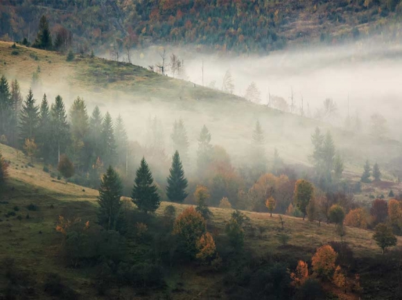 Why are the mountains so alluring?